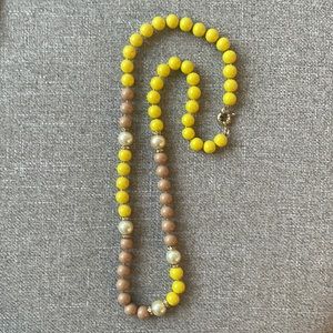 JCrew Resin Long Necklace